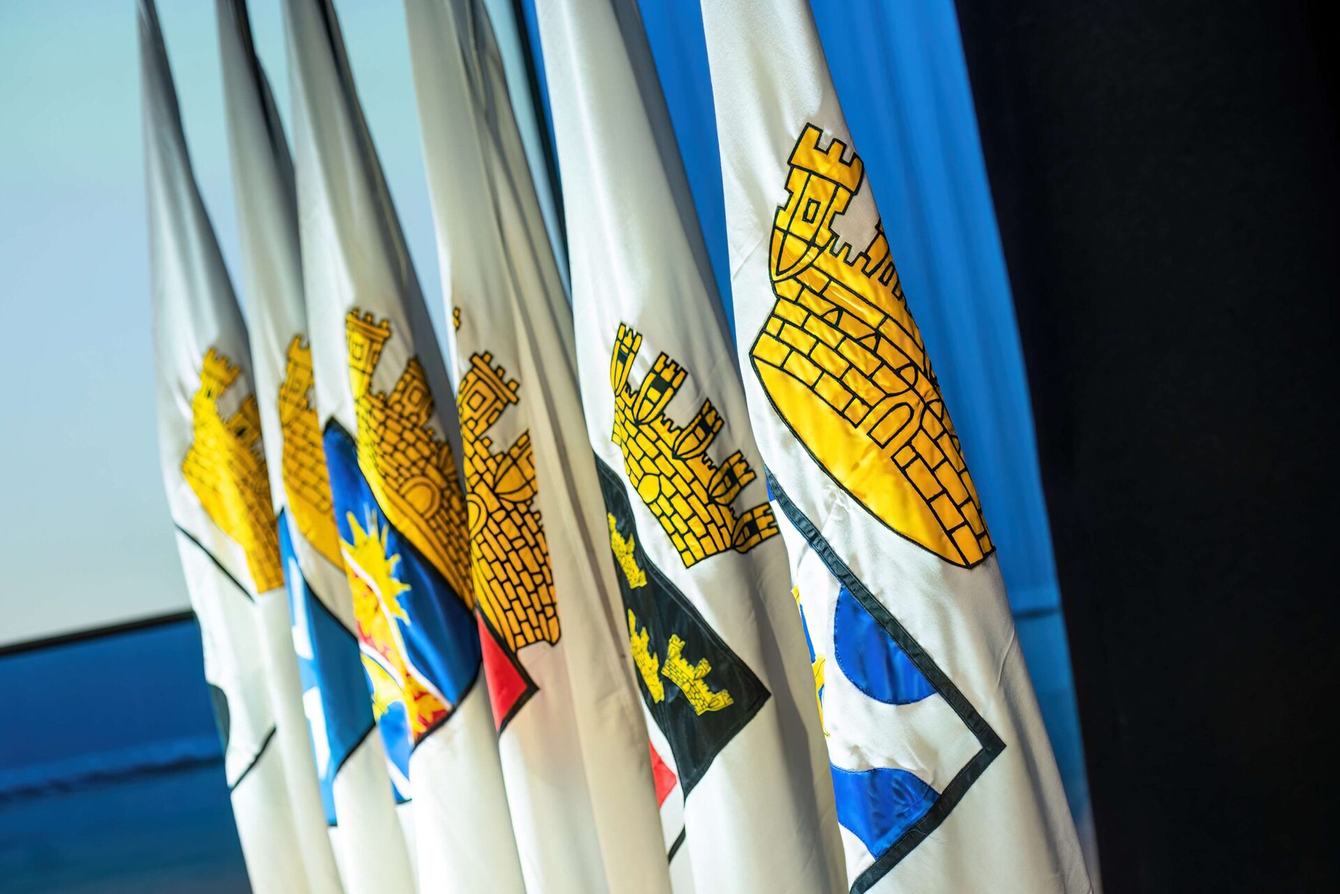 Regional Cultural Cooperation Programme